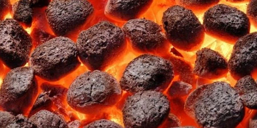briquette machine output