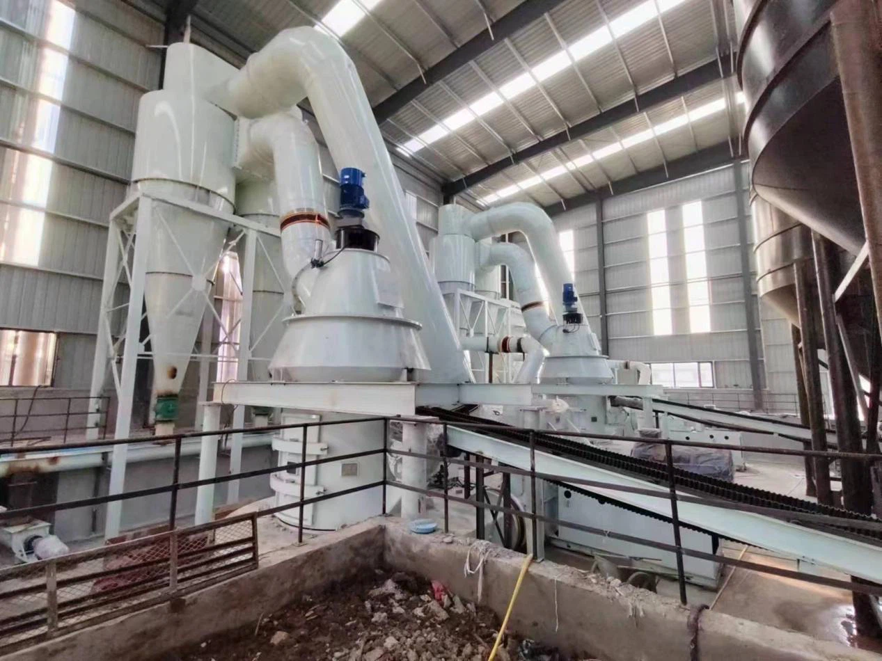 intelligent raymond grinder plant